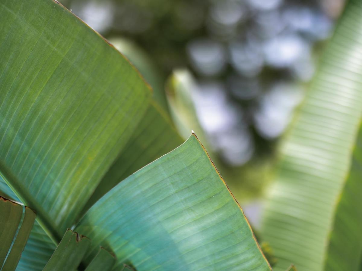 Homm Stay Yumiha Okinawa By Banyan Tree Group Онна Екстер'єр фото