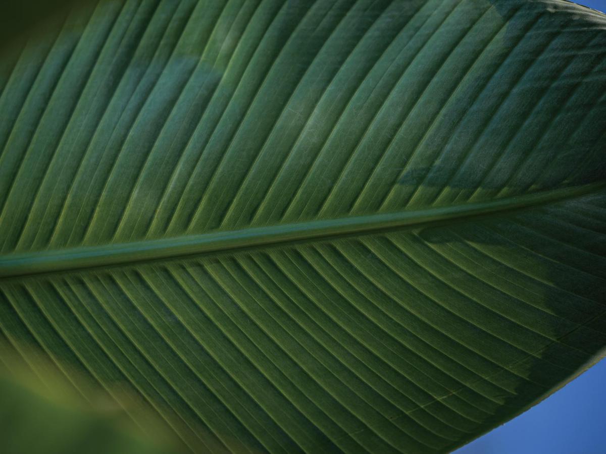Homm Stay Yumiha Okinawa By Banyan Tree Group Онна Екстер'єр фото