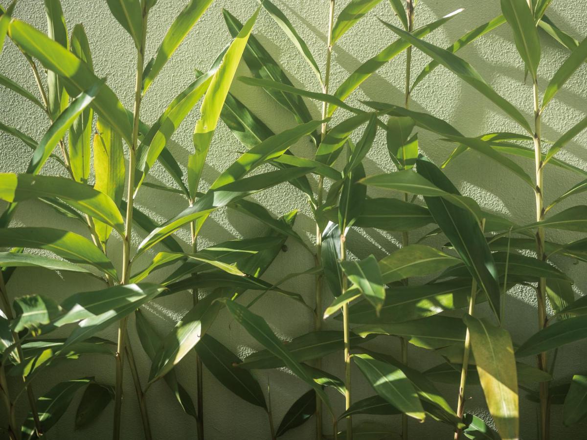 Homm Stay Yumiha Okinawa By Banyan Tree Group Онна Екстер'єр фото
